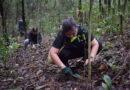Epson employees planted a total of 371 seedlings in La Mesa Eco Park.