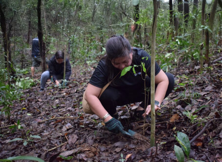 Epson employees planted a total of 371 seedlings in La Mesa Eco Park.